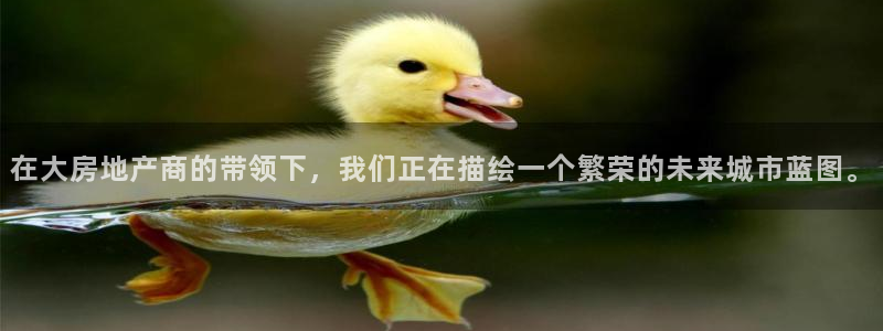 新宝m2O5O5O：在大房地产商的带领下，我们正在描绘一个繁