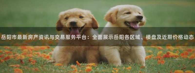 新宝奇迹GG5：岳阳市最新房产资讯与交易服务平台：全面展示岳