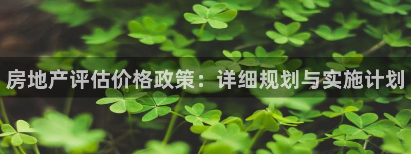 新宝5卫74OOO5：房地产评估价格政策：详细规划与实施计划