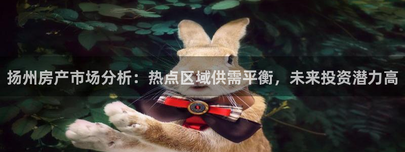 新宝xb5：扬州房产市场分析：热点区域供需平衡，未来投资潜力