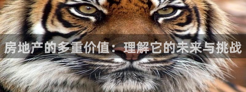 新宝5 唯一：房地产的多重价值：理解它的未来与挑战