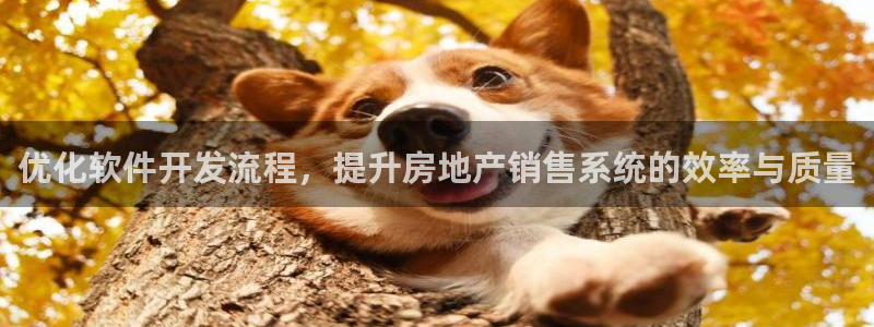 下载新宝5：优化软件开发流程，提升房地产销售系统的效率与质量