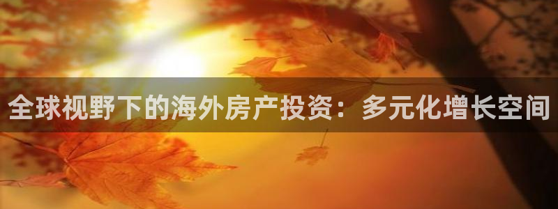 新宝5巅峰：全球视野下的海外房产投资：多元化增长空间