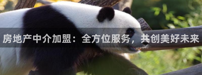 新宝5娱乐网址