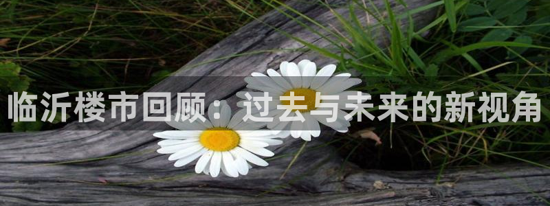 新宝5苹果手机下载：临沂楼市回顾：过去与未来的新视角