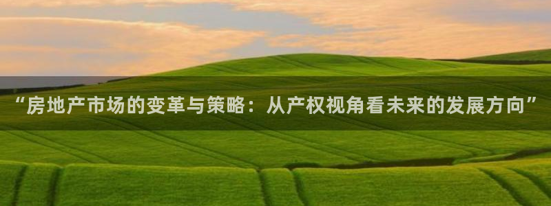 新宝5平台：“房地产市场的变革与策略：从产权视角看未来的发展