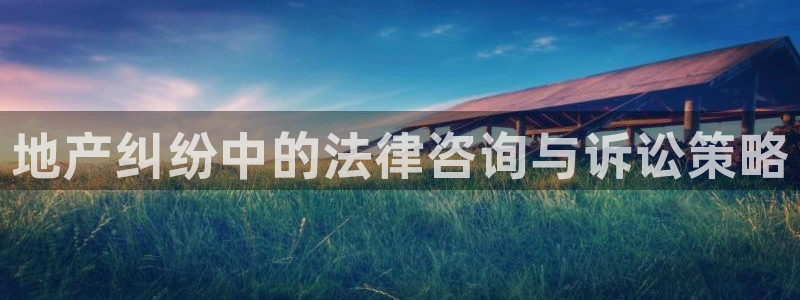 新宝5平台登陆：地产纠纷中的法律咨询与诉讼策略