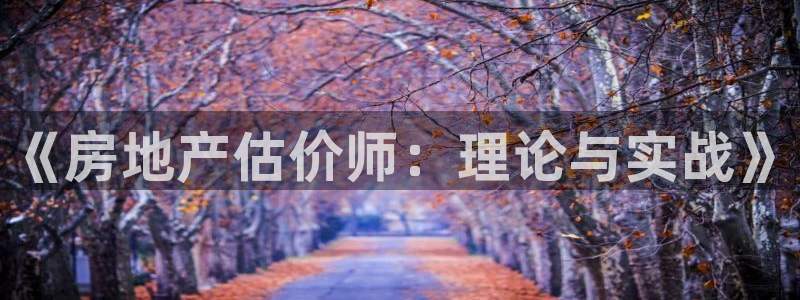 新宝5测速在线：《房地产估价师：理论与实战》