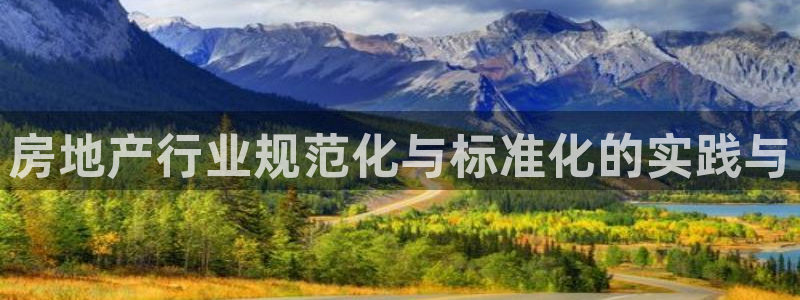 新宝娱乐5：房地产行业规范化与标准化的实践与
