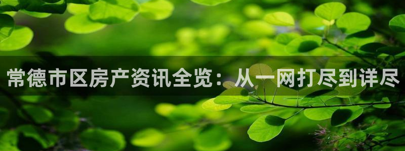 新宝5注册流程：常德市区房产资讯全览：从一网打尽到详尽