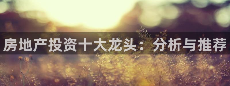 新宝5娱乐同：房地产投资十大龙头：分析与推荐