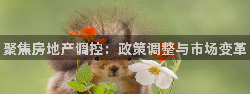 新宝5测速线路：聚焦房地产调控：政策调整与市场变革