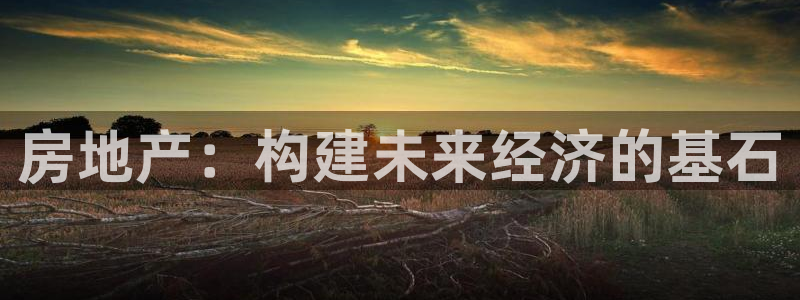新宝5娱乐同：房地产：构建未来经济的基石