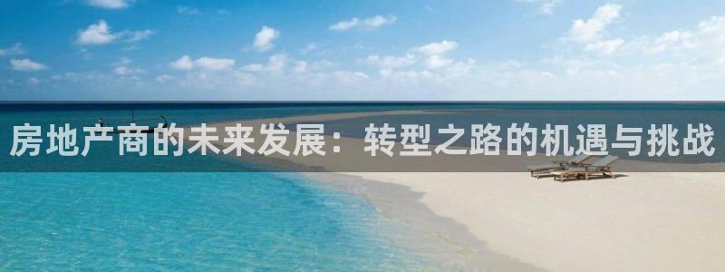 新宝5测速登陆：房地产商的未来发展：转型之路的机遇与挑战