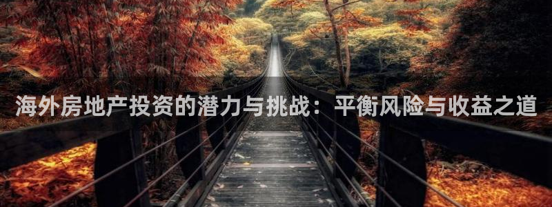 新宝5客户端登录：海外房地产投资的潜力与挑战：平衡风险与收益