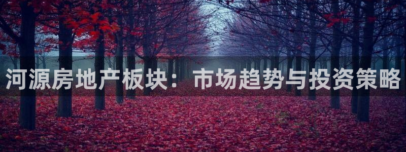 新宝5登录界面：河源房地产板块：市场趋势与投资策略