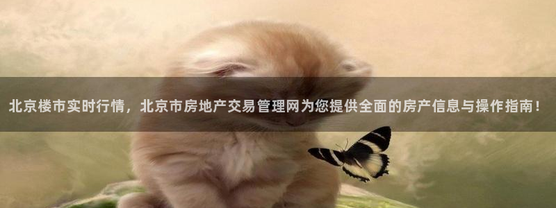 新宝5娱乐网址
