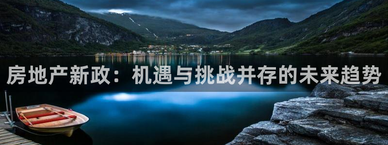 新宝5是谁：房地产新政：机遇与挑战并存的未来趋势