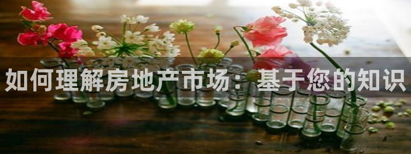 新宝5娱乐没：如何理解房地产市场：基于您的知识