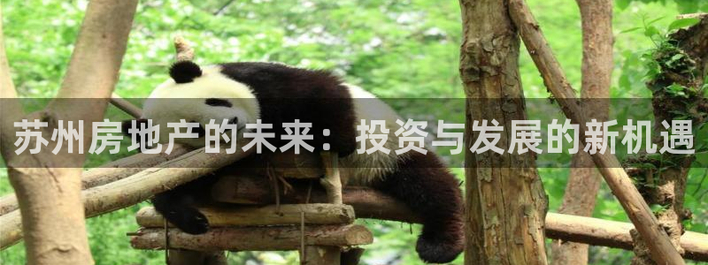 新宝5主管：苏州房地产的未来：投资与发展的新机遇