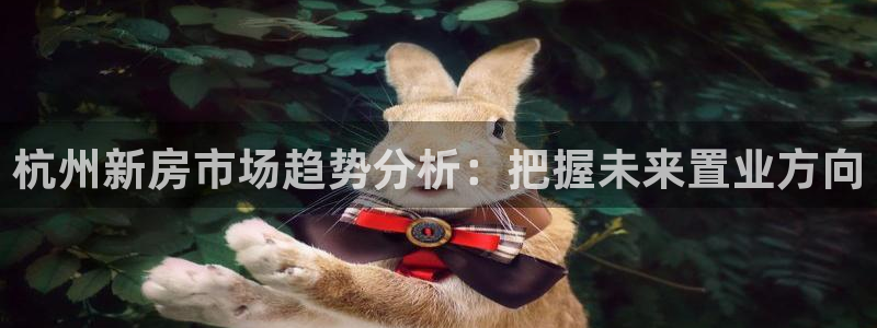新宝5娱乐方：杭州新房市场趋势分析：把握未来置业方向