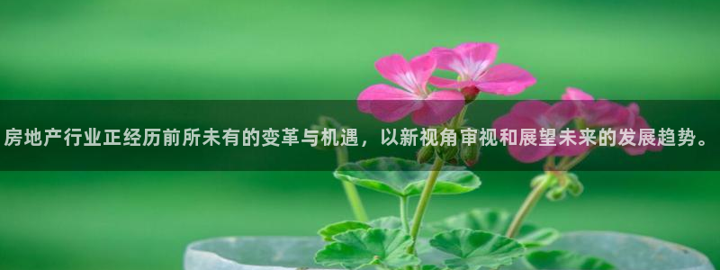 新宝速5：房地产行业正经历前所未有的变革与机遇，以新视角审视