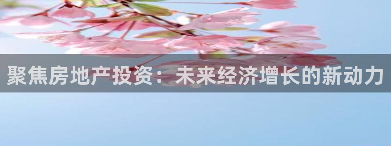 新宝5如何注册登录：聚焦房地产投资：未来经济增长的新动力