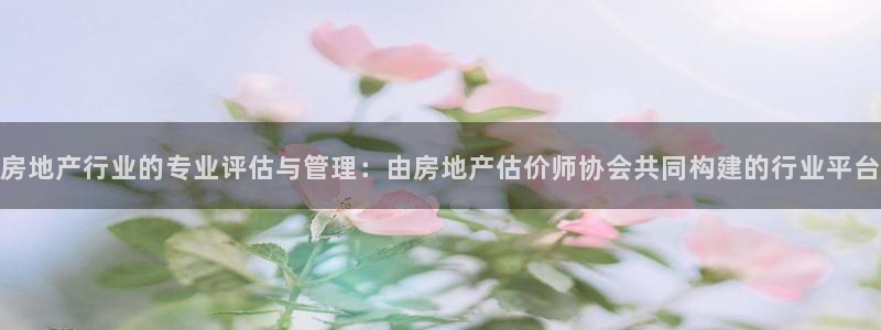 新宝5网：房地产行业的专业评估与管理：由房地产估价师协会共同