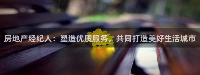 新宝那2O5O5O：房地产经纪人：塑造优质服务，共同打造美好