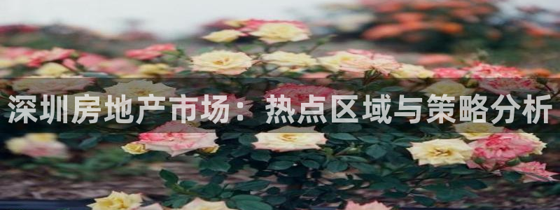 新宝5注册首页：深圳房地产市场：热点区域与策略分析