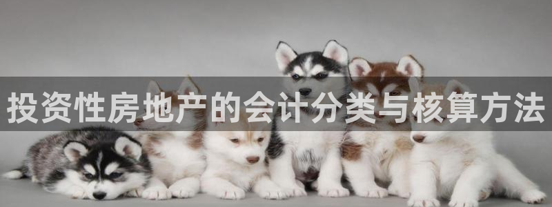 新宝5下载：投资性房地产的会计分类与核算方法