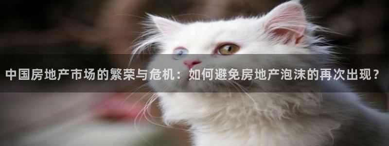 新宝5手机下载：中国房地产市场的繁荣与危机：如何避免房地产泡