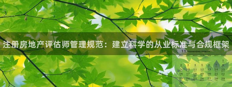 有人知道新宝5么：注册房地产评估师管理规范：建立科学的从业标