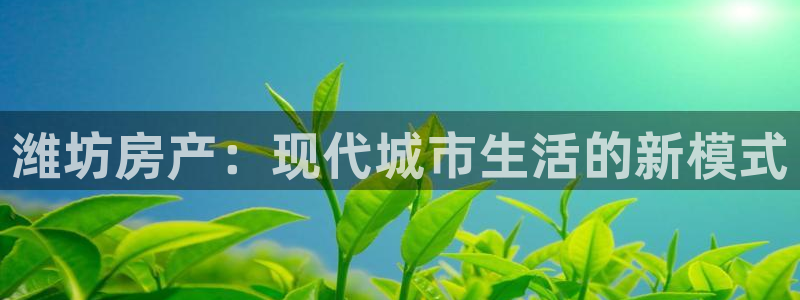 皇冠新宝5：潍坊房产：现代城市生活的新模式