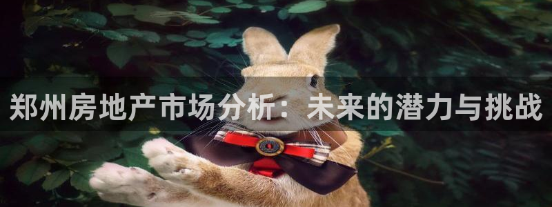 新宝测速5：郑州房地产市场分析：未来的潜力与挑战