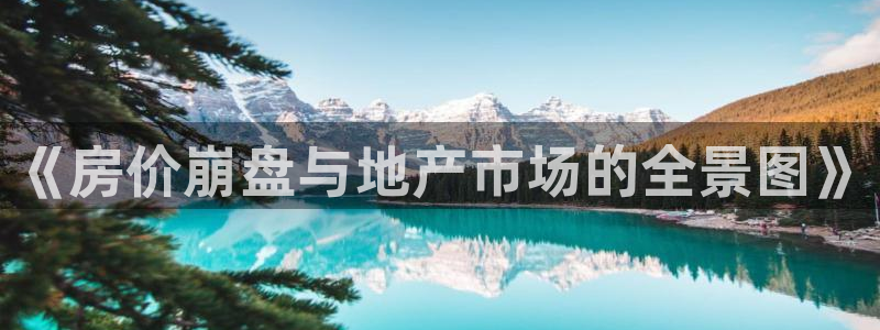 新宝5线路登录：《房价崩盘与地产市场的全景图》