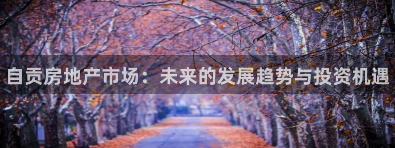 新宝5登录不了：自贡房地产市场：未来的发展趋势与投资机遇