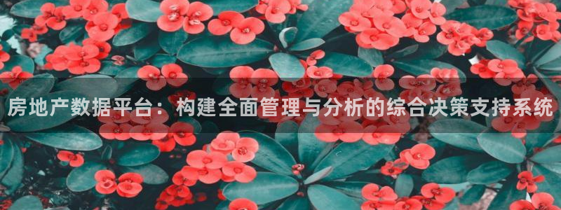 新宝5手机版登录：房地产数据平台：构建全面管理与分析的综合决