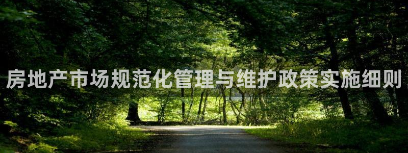 新宝5招商222111：房地产市场规范化管理与维护政策实施细