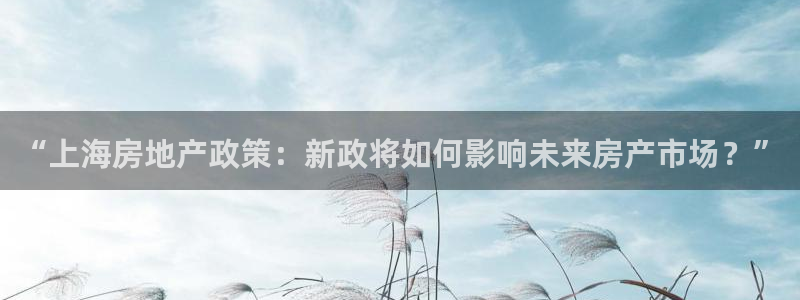 新宝5测速下载：“上海房地产政策：新政将如何影响未来房产市场