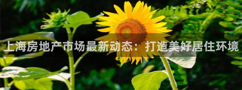 新宝5为啥开：上海房地产市场最新动态：打造美好居住环境