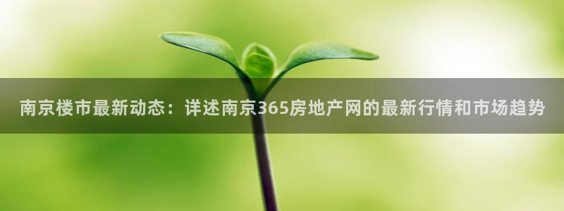 新宝5：南京楼市最新动态：详述南京365房地产网的最新行情和