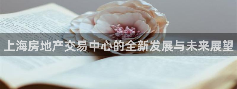 新宝5下载测试：上海房地产交易中心的全新发展与未来展望