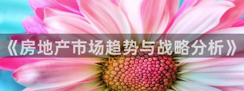 新宝5系列：《房地产市场趋势与战略分析》