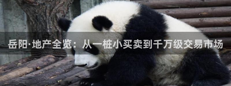新宝5招商部：岳阳·地产全览：从一桩小买卖到千万级交易市场