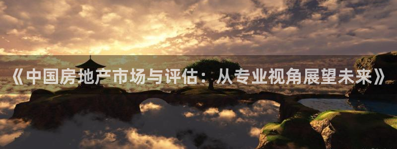 p5r新宝魔：《中国房地产市场与评估：从专业视角展望未来》