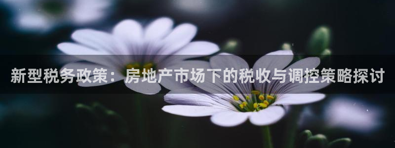 菲律宾新宝5老板：新型税务政策：房地产市场下的税收与调控策略