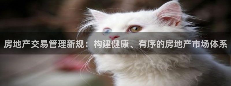 新宝5手机登录：房地产交易管理新规：构建健康、有序的房地产市