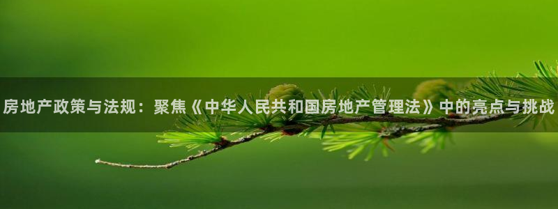 新宝5娱乐没：房地产政策与法规：聚焦《中华人民共和国房地产管