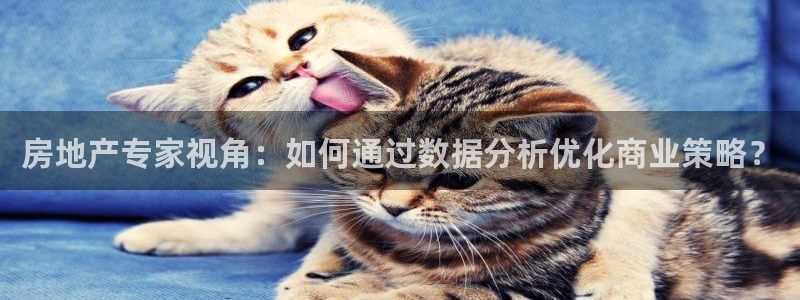 新宝5台卡：房地产专家视角：如何通过数据分析优化商业策略？